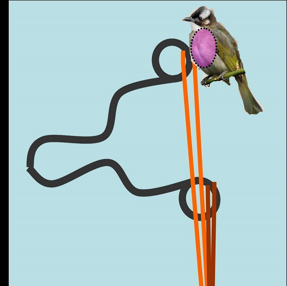 how to shoot a slingshot-4