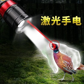 led laser flashlight
