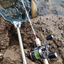 glassfin rod