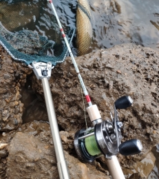 glassfin rod